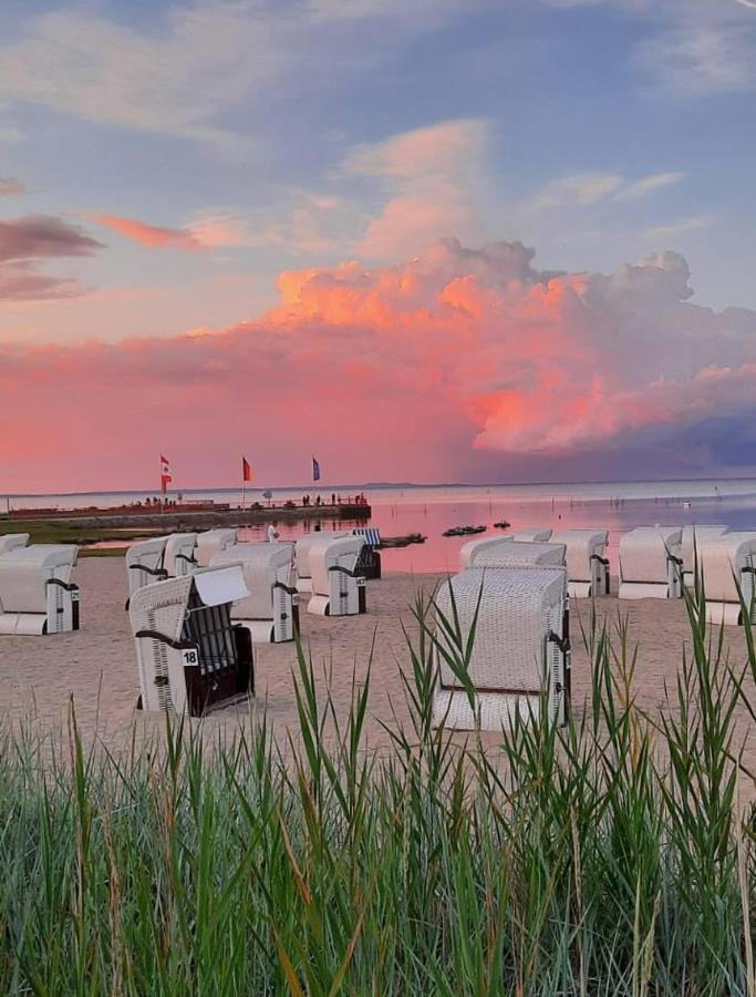 Ferienwohnung Sea Vogelsang-Warsin ภายนอก รูปภาพ